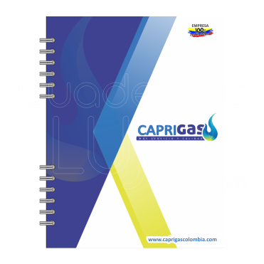 CuadernosPublicitarios-Publicitarios2
